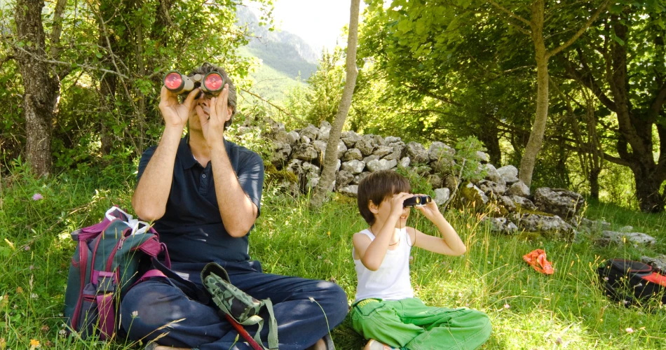 Birdwatching and Nature Trails Near Vienna’s Outskirts