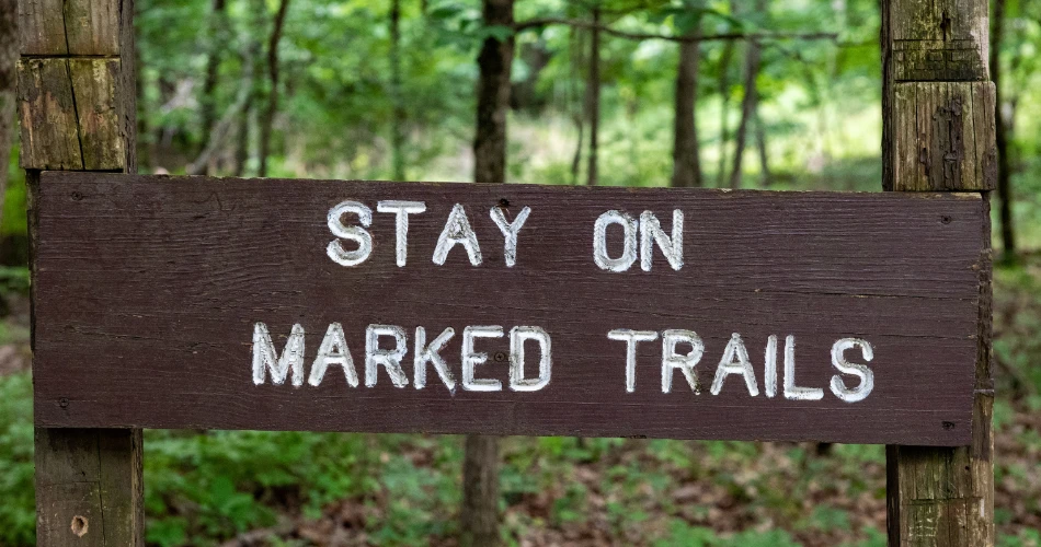 Birdwatching and Nature Trails Near Vienna’s Outskirts