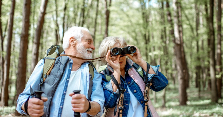 Birdwatching and Nature Trails Near Vienna’s Outskirts