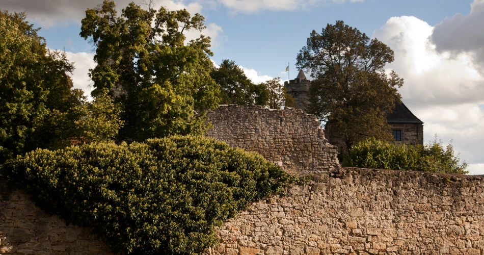 Picnic Spots Near the Danube You Haven’t Heard Of