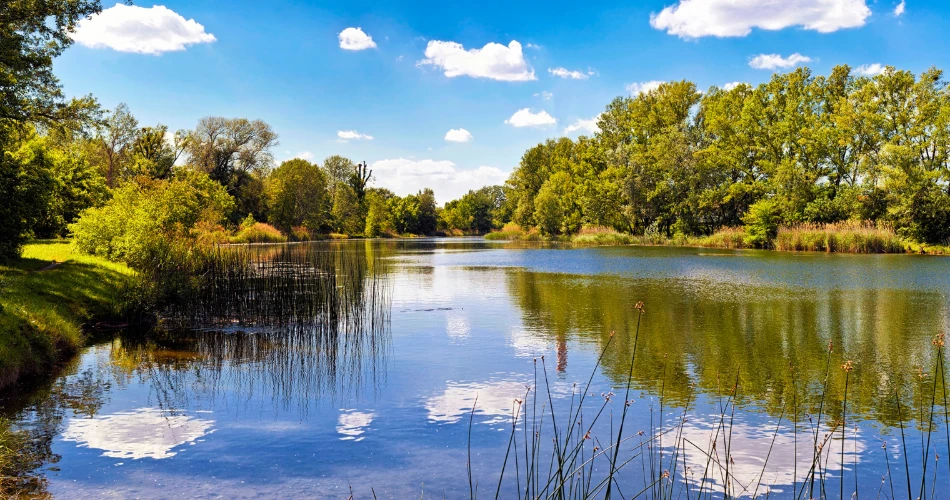 Picnic Spots Near the Danube You Haven’t Heard Of